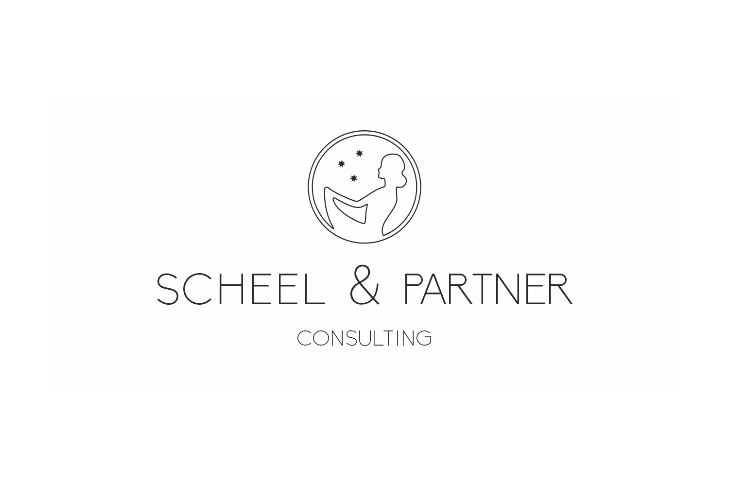 Scheel & Partner Consulting